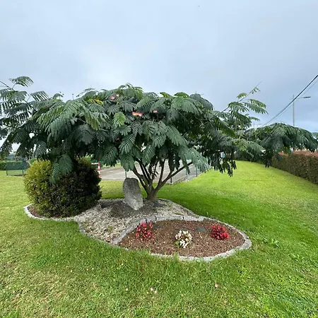 Andres * Villadaíde